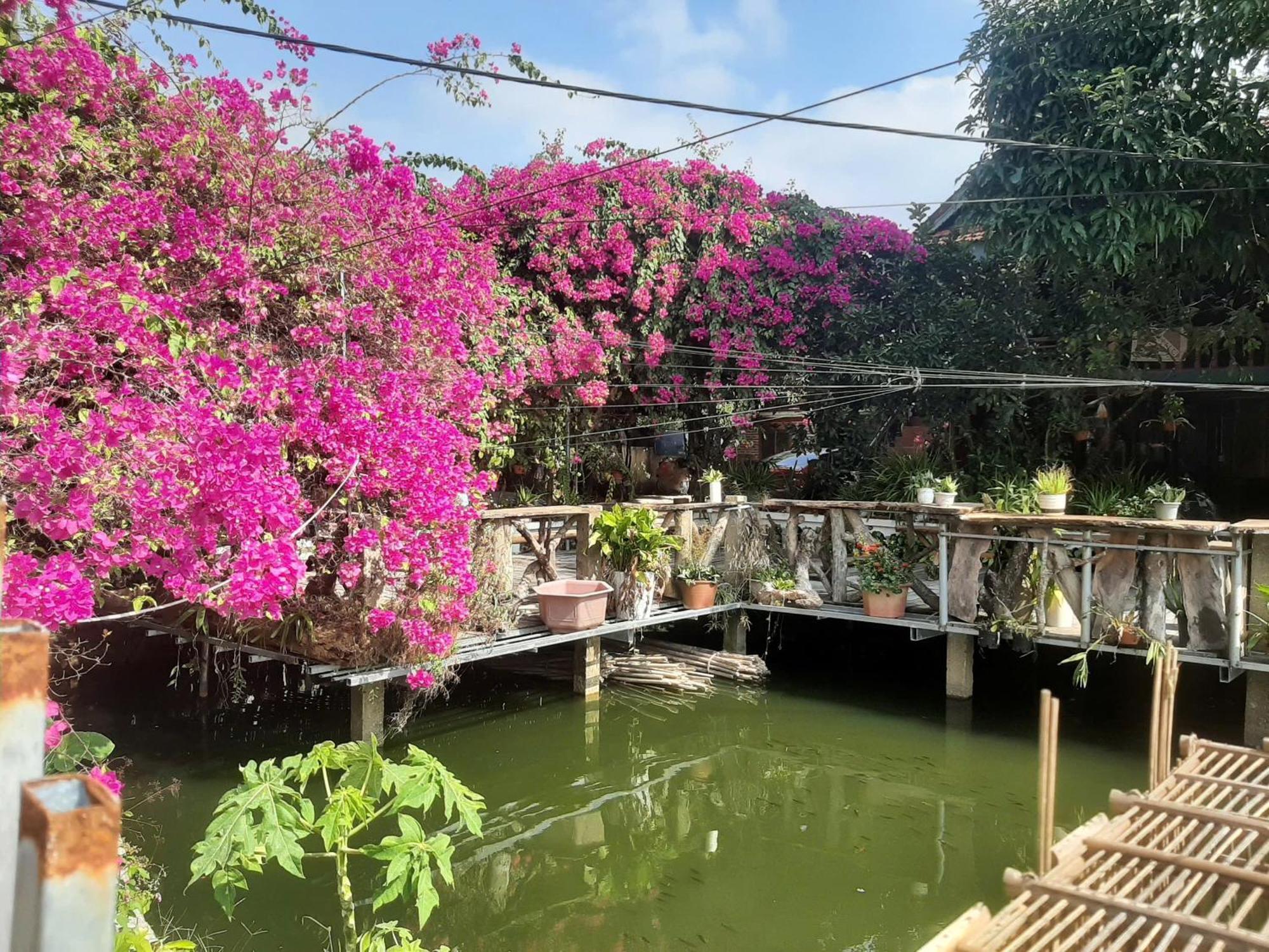 Minh Ngoc Homestay Dien Bien Phu Ban Hin Lom Zewnętrze zdjęcie