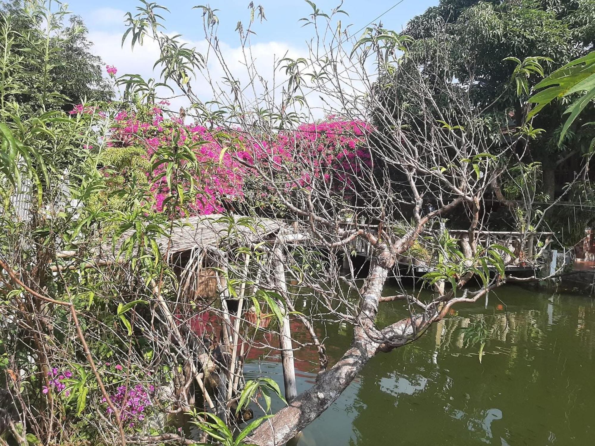 Minh Ngoc Homestay Dien Bien Phu Ban Hin Lom Zewnętrze zdjęcie
