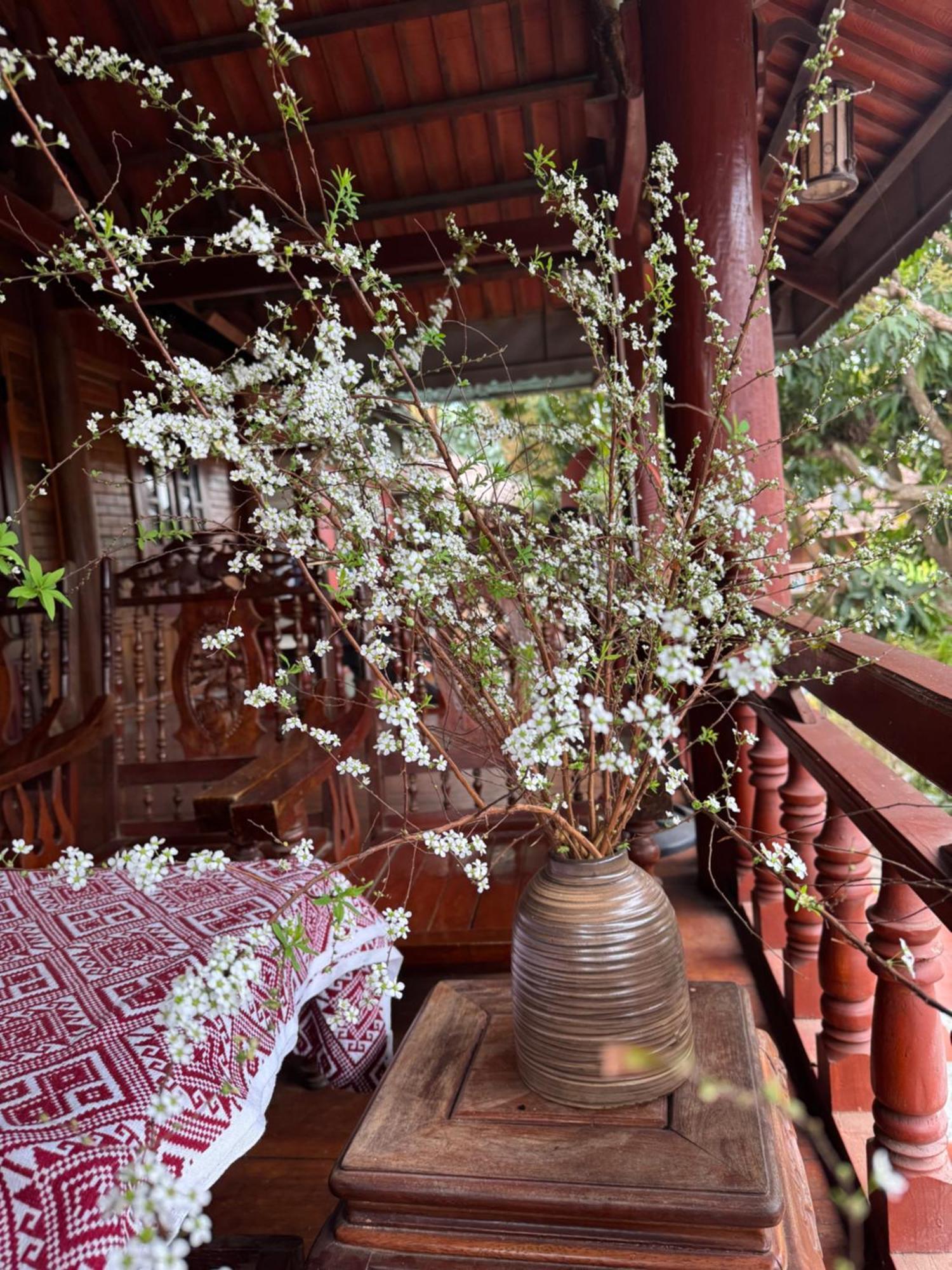 Minh Ngoc Homestay Dien Bien Phu Ban Hin Lom Zewnętrze zdjęcie